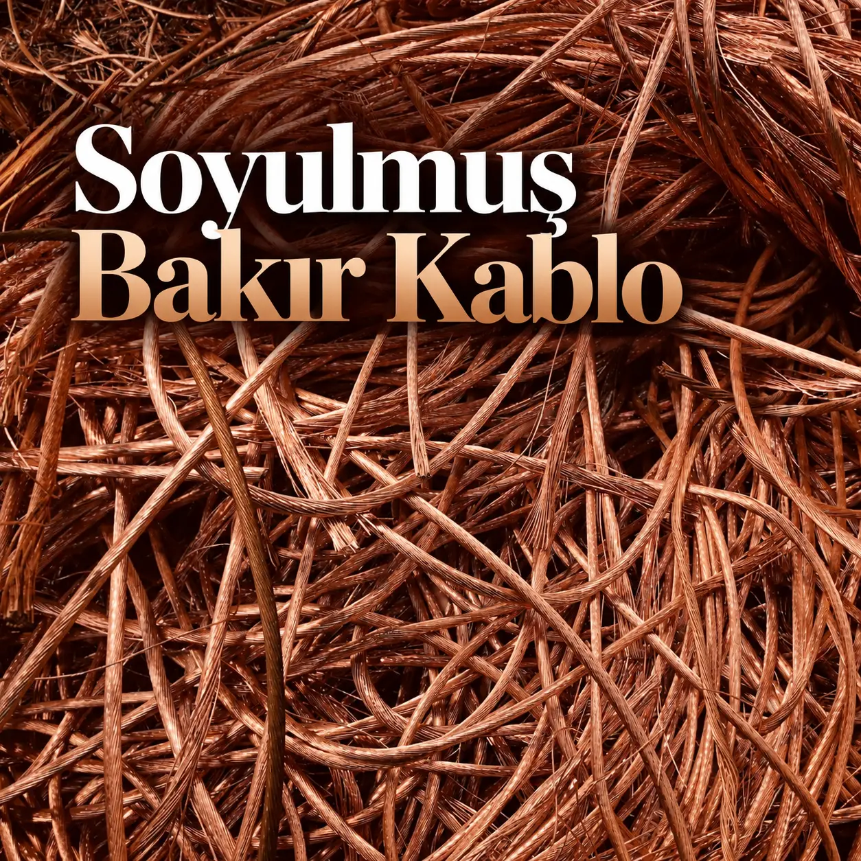 Soyulmuş bakır kablo ve temiz bakır iletken örneği